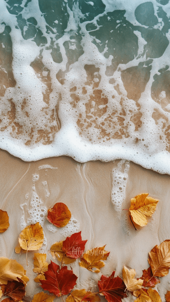 Fall Beach Wallpaper Collection - Lilly Ashley Design